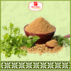 Coriander Powder - Wholesale