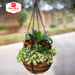 Hanging Plant - Eco Friendly - Hanging Plant (3)