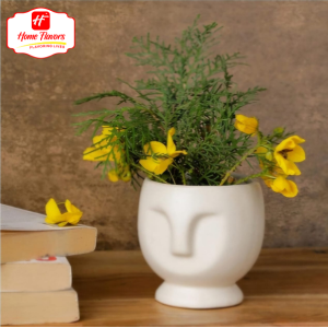 Mini Plant - Eco Friendly - Planter