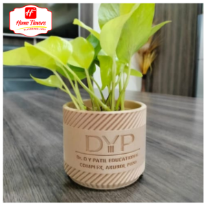 Mini Planter - Eco Friendly - Planter