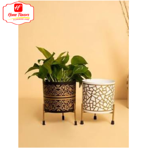 Mini Planter - Meetup (3)