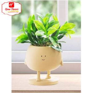 Mini Planter - Meetup