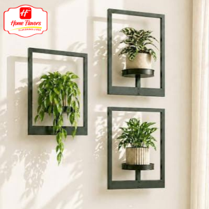 Mini wall Plant - Eco Friendly - Mini Plants wall hanging (2)