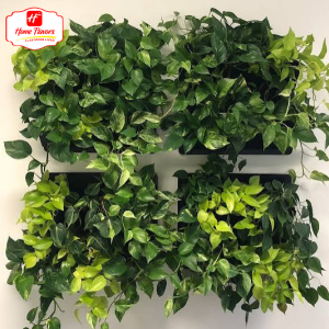 Mini wall Plant - Eco Friendly - Mini Plants wall hanging (3)