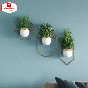 Mini wall Plant - Eco Friendly - Mini Plants wall hanging (4)