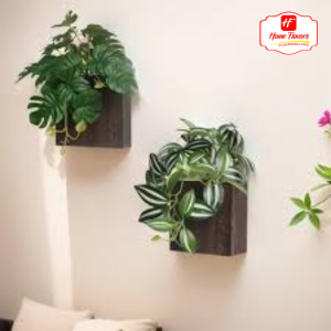 Mini wall Plant - Eco Friendly - Mini Plants wall hanging (5)