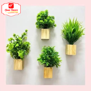 Mini wall Plant - Eco Friendly - Mini Plants wall hanging
